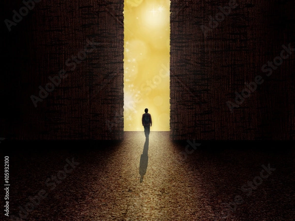 Obraz Man standing on the edge of darkness and light
