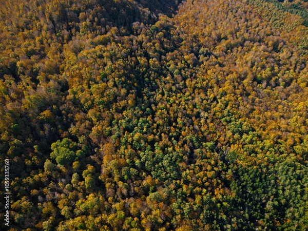 Fototapeta Aerial view of Tuscany mountain in autumn with green and orange foliage, warm colors. Zenithal view