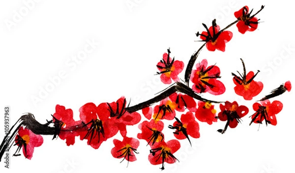 Obraz A branch of a blossoming tree. Pink flowers of sakura . Watercolor and ink illustration in style sumi-e, u-sin. Oriental traditional painting.  Isolated on white background.