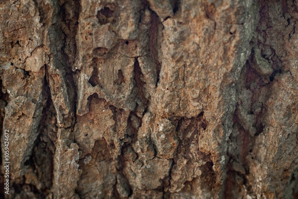 Fototapeta Tree Bark/Cliff Face