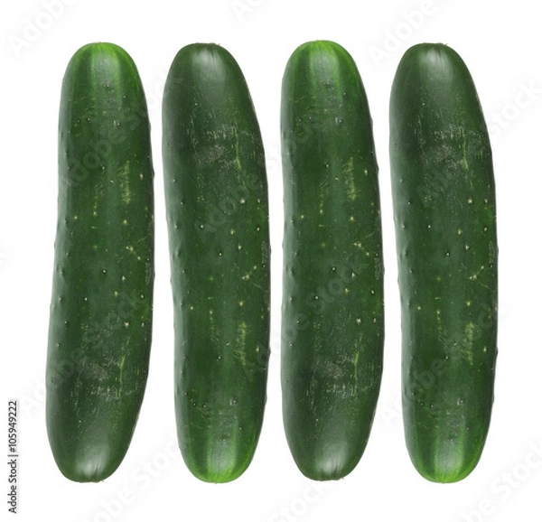 Obraz Cucumbers