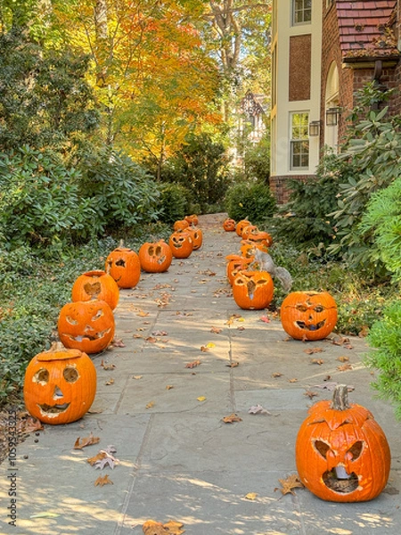 Fototapeta Row of Carved Pumpkin faces decorated alongside home