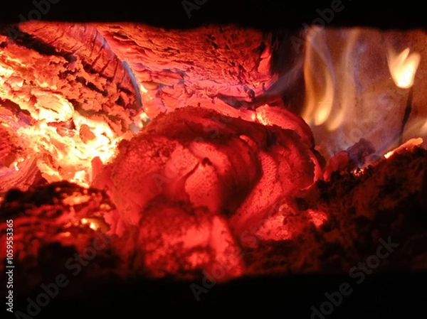Fototapeta Wood burning in the dark, a small fire . Gas and wood burning stoves in the village are dangerous . Gas and wood are burned together in the stove.
