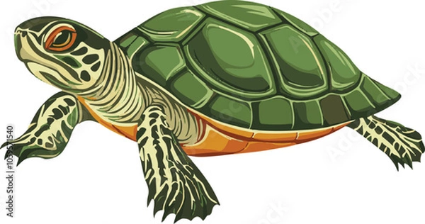 Fototapeta simple vector painted turtle clipart