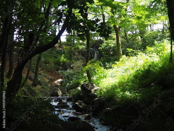 Fototapeta 北の丸公園の小川