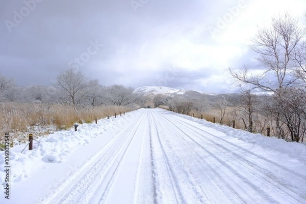 Obraz 真っ白な雪景色