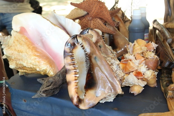 Fototapeta Muschelstand