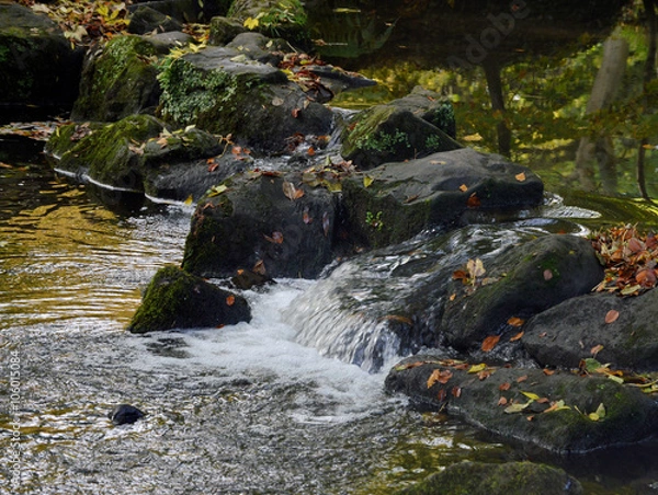 Obraz Endcliffe Park