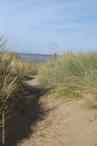 Obraz sand dunes on the beach