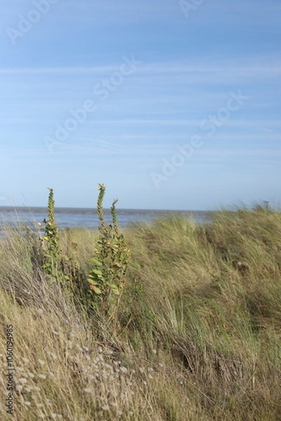 Obraz path to the beach