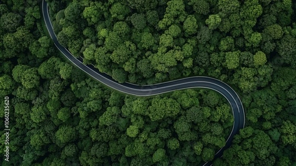 Fototapeta Aerial view of a winding road curving through dense green forest, showcasing lush foliage and natural landscape symmetry.