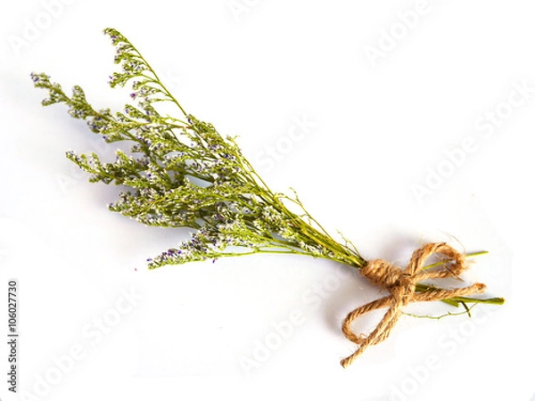 Obraz Beautiful dry flower