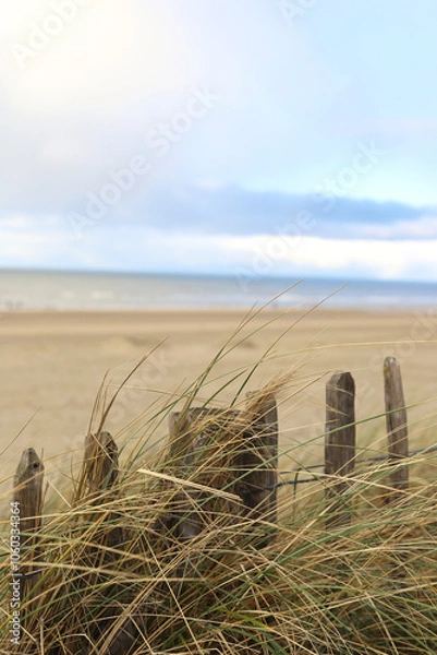 Obraz beach and fence