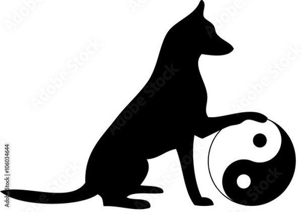 Obraz Hund mit Yin und Yang