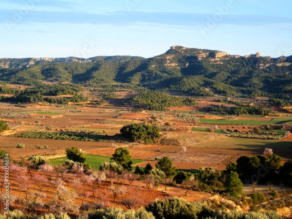 Fototapeta Terra Alta county landscape in spring, with the Pandols mountain range in the background (Gandesa, Catalonia, Spain). It was the scenario of the Ebro battle (Spanish Civil war)