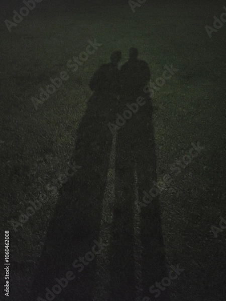 Obraz 恋人同士の影