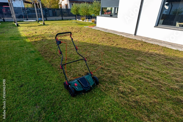 Obraz Scarifying the lawn before the winter season using an electric scarifier.