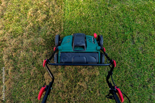 Obraz Scarifying the lawn before the winter season using an electric scarifier.