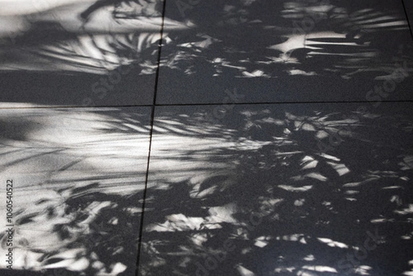 Obraz a shadow of a plants on tiled floor