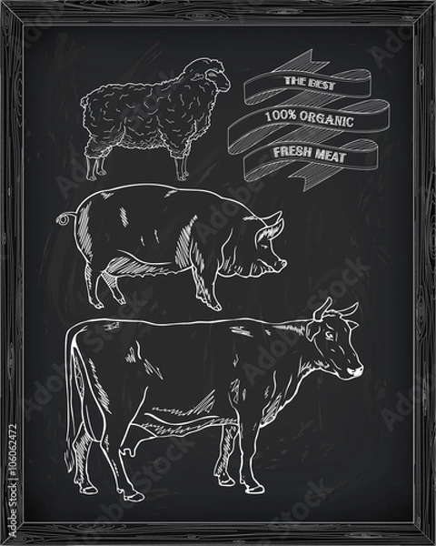 Obraz butchering beef diagram, pork, lamb