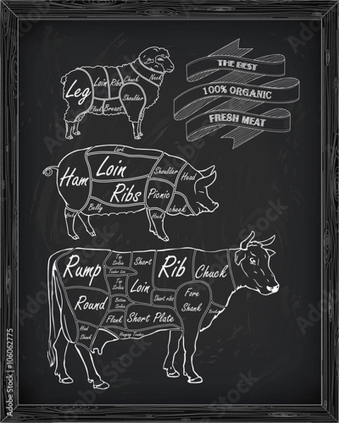 Obraz butchering beef diagram, pork, lamb
