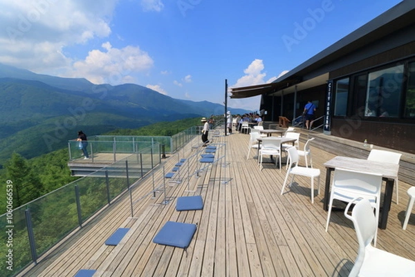 Fototapeta forest sky