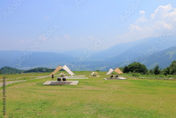 Fototapeta first summer green