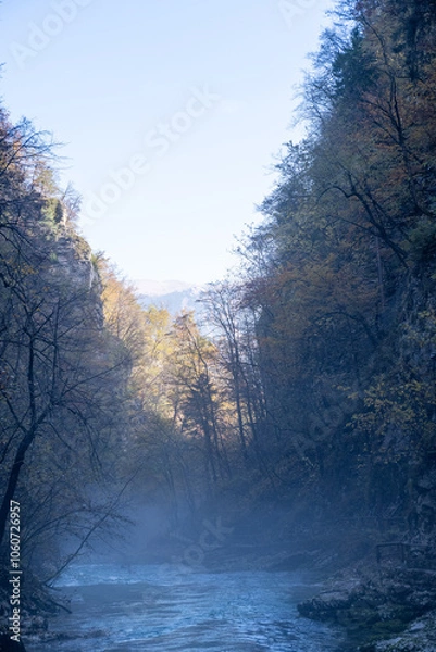 Obraz misty morning in the forest, Mountain river gorge with plants and trees 