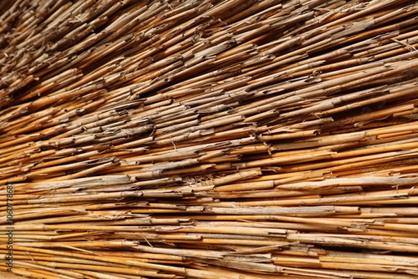 Fototapeta Close-up of aligned reeds or sticks. Background straw.