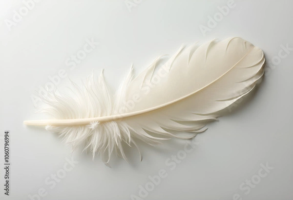 Fototapeta Elegant white feather displayed against a soft gray background, with fine details, with copy space