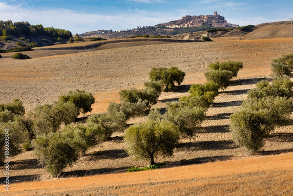 Fototapeta Arid but fertile landscape around the abandoned city of Craco in Italy