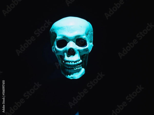 Fototapeta Scary human skull on black