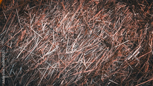 Fototapeta A beautiful and abstract haystack