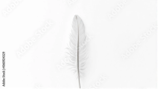 Obraz feather on white