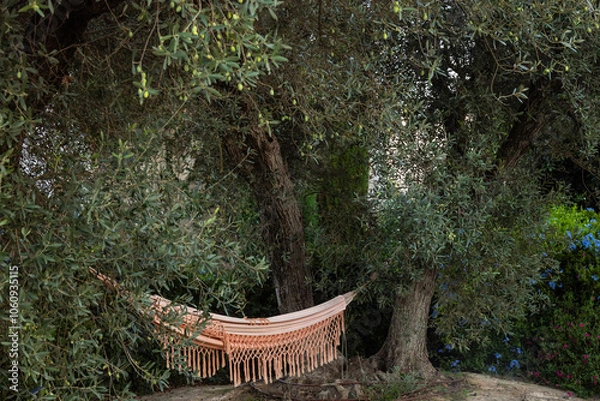 Obraz hammock in the olive grove