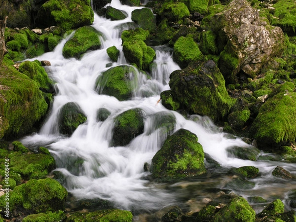 Obraz mountain river-1