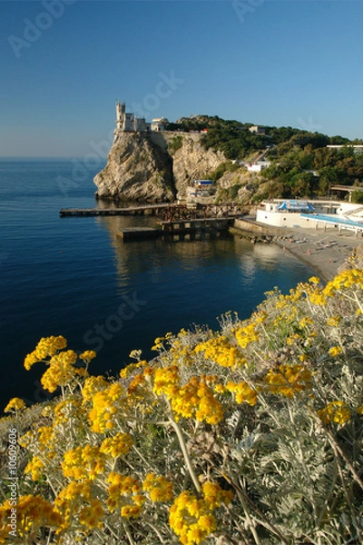 Obraz swallow's nest-4