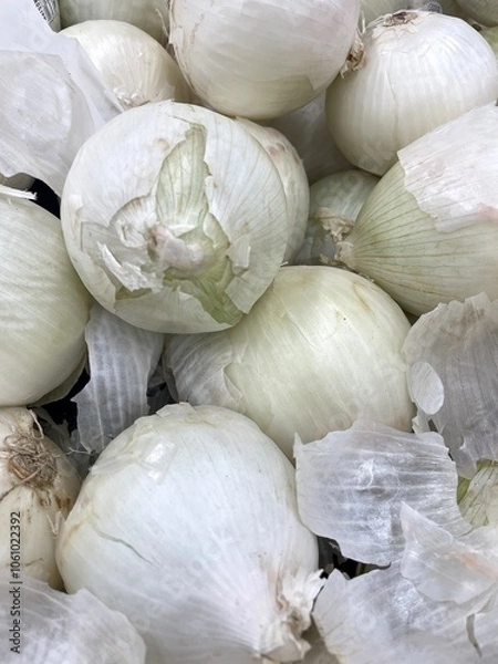 Obraz A bunch of white onions piled up in a fresh food market.