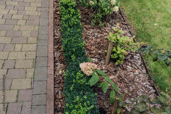 Fototapeta Beautiful summer garden with a walkway winding its way through