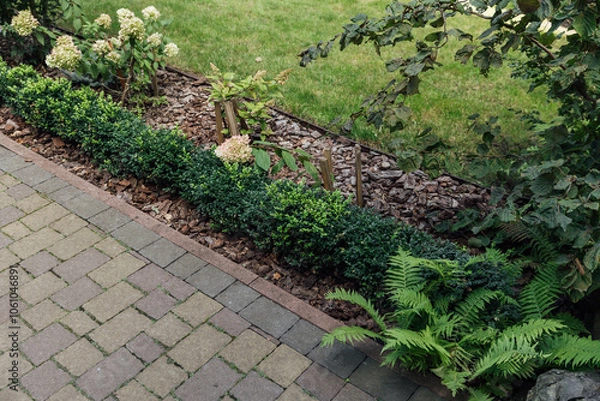 Fototapeta Beautiful summer garden with a walkway winding its way through