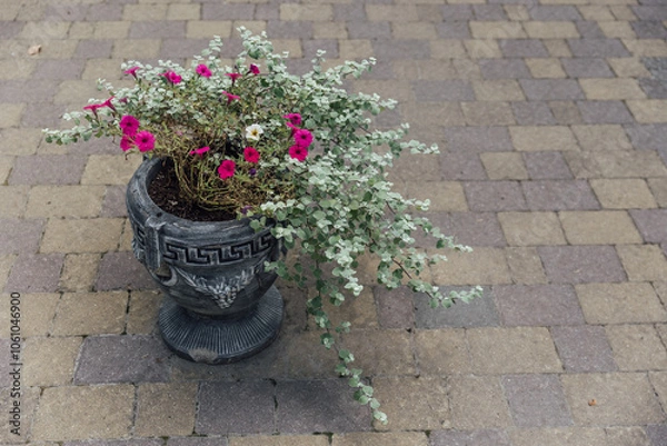 Fototapeta Beautiful summer garden with a walkway winding its way through