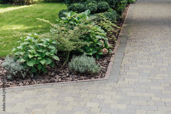 Fototapeta Beautiful summer garden with a walkway winding its way through