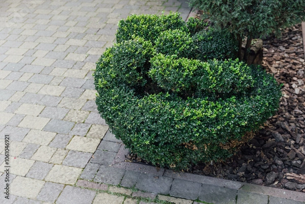 Fototapeta Beautiful summer garden with a walkway winding its way through