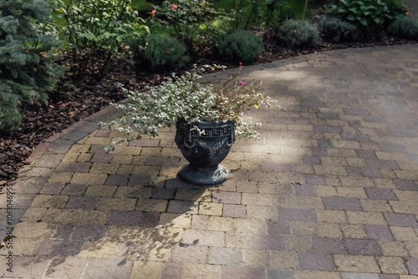 Fototapeta Beautiful summer garden with a walkway winding its way through