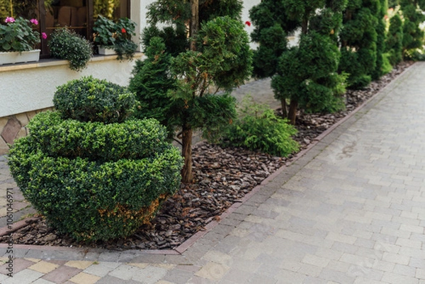 Fototapeta Beautiful summer garden with a walkway winding its way through