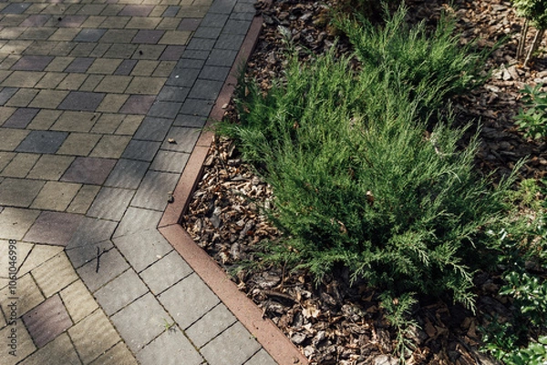 Fototapeta Beautiful summer garden with a walkway winding its way through