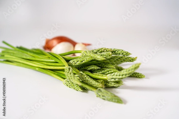 Obraz Fresh wild asparagus, onion and garlic , on a white background ready to be cooked. copy space for text