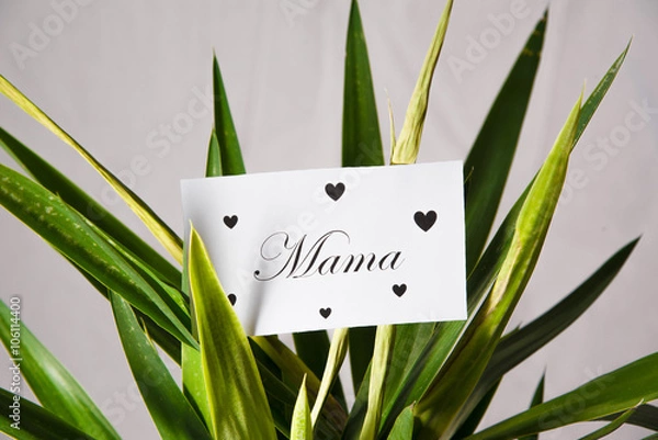 Fototapeta Muttertagsbrief