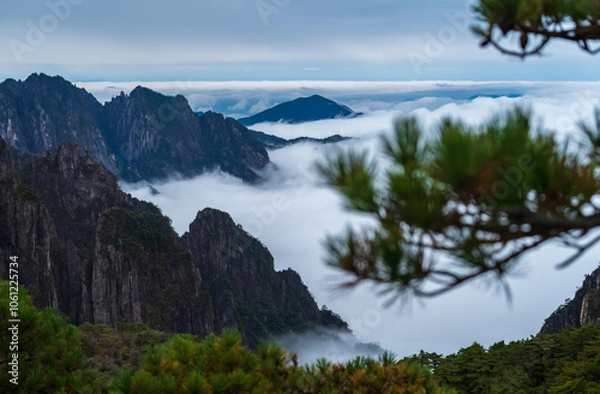 Fototapeta Sea of ​​clouds, mountain ridges and pine trees at Huangshan.