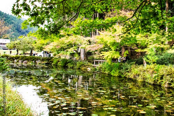 Obraz 岐阜県・関市のモネの池を訪ねて